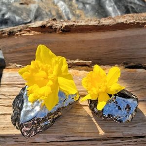 Vases, Pair of Bud, or Air plants.